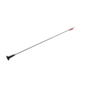 Arrows Archery Arrow