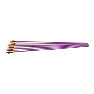 Second Hand Easton Jazz Arrows (Original) Set of 8 -1616 - 281/4"