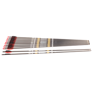 Second Hand Easton Pro Comps - Set of 12 - 380 Spine