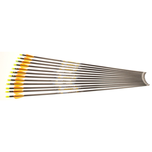 Second Hand Easton Carbon One Arrows - 660 - 24.5" - Set of 12