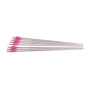 Second Hand Easton XX75 Platinum Plus Arrows - Set of 8 1816 - 26"