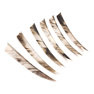 Second Hand Gateway Feathers - R/W Shield -5" - Tree Bark - Single