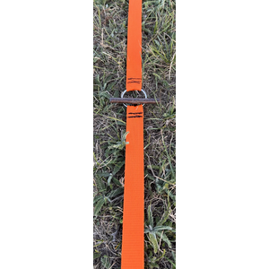 Archers Paradox Webbing Shooting Line