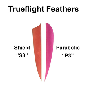 Archers Paradox Martial Arts Wooden Arrow - Single