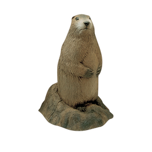 Delta Backyard 3D Woodchuck - 3D Target