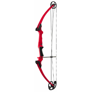 Mathews Compound Bow - Genesis Original