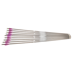 Second Hand Easton ACE Arrows - 670 Spine - 24 1/4" - Set of 9 (Purple vanes)