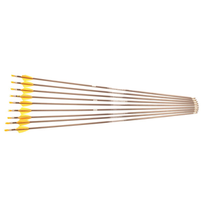 Second Hand Easton ACE Arrows - 670 Spine - 24 1/4" - Set of 9 - Orange Vanes