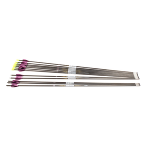 Second Hand Easton X10 Shafts - 450 Spine C1 x12