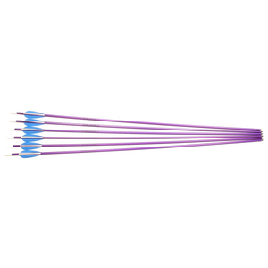 Second Hand Easton Jazz Arrows -Purple - 1516 - 27 3/4" - Set of 6