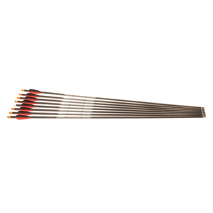 Second Hand Skylon Ebony Arrows - Set of 8 - 600 Spine - 30"