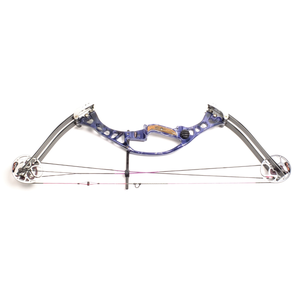 Second Hand Hoyt Avenger Plus - LH 40lbs - 22 1/2" to 25"