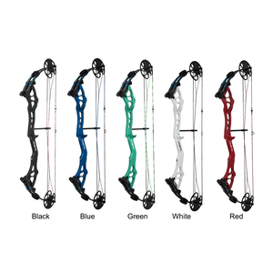 Kinetic Static Compound Bow