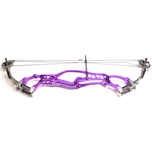 Second Hand Hoyt Pro Comp Elite 38 R/H Purple