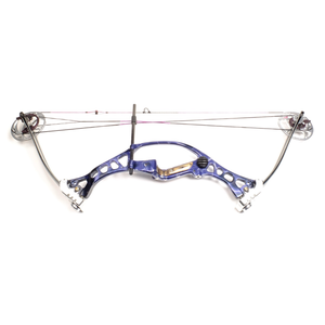 Second Hand Hoyt Avenger Plus - LH 40lbs - 22 1/2" to 25"