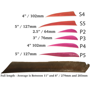 Trueflight Feather Fletchings