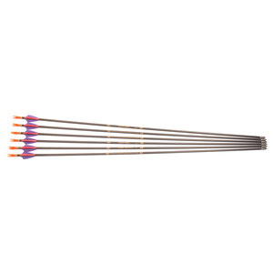 Second Hand Carbon Express Nano-Pro Arrows - 450- 25 1/8" - Set of 6