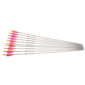 Second Hand Easton Platinum Plus Arrows - 1616 - 28 3/4" - Set of 10 Arrows