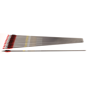 Second Hand Skylon Preminens - Set of 11 - 500 Spine