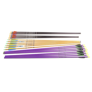 Second Hand Club Arrow Pack - Total 20 Arrows
