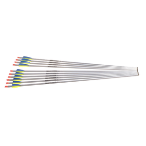 Second Hand Easton XX75 1716 Platinum Plus Arrows - Set 10 27"